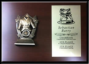 Karate Plaque