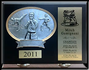 Karate Plaque with Resin Inlay.