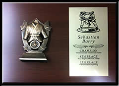 Karate Plaque with plate.