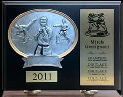 Karate Plaque with Resin Inlay.