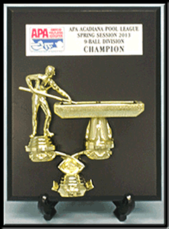 Pool_APA Division Champion Plaque.