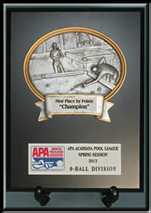 APA Points Champion - 9-Ball Division.
