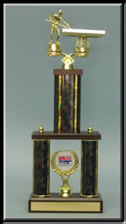 APA Pool Trophy - Double Column.