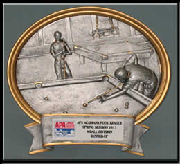 Pool - APA Runner Up - Resin.